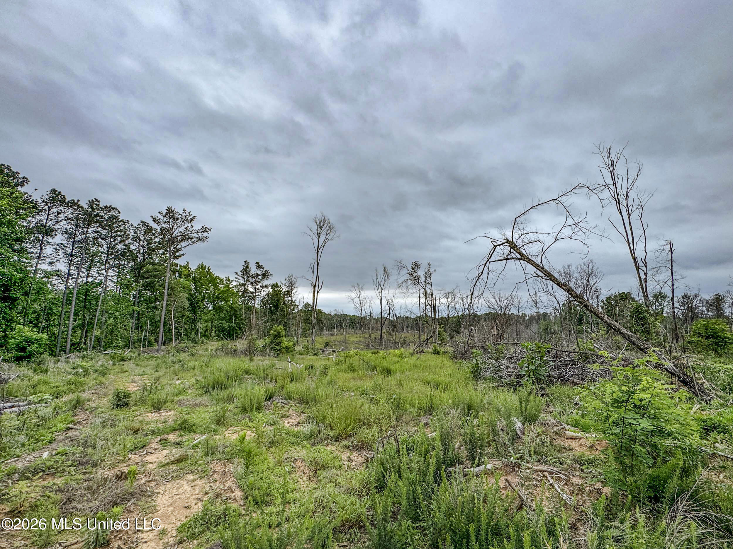 Wayne Massie Road Como, MS 38619 - Photo 138 of 184 5cdtbs80