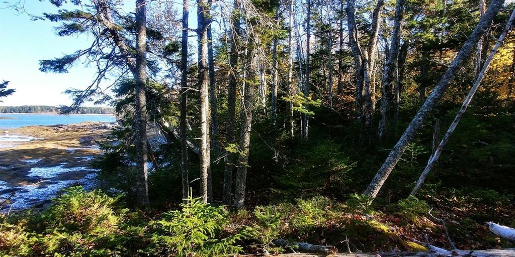 0 Back Shore Road Steuben, ME 04680 - Photo 12 of 16 Photo