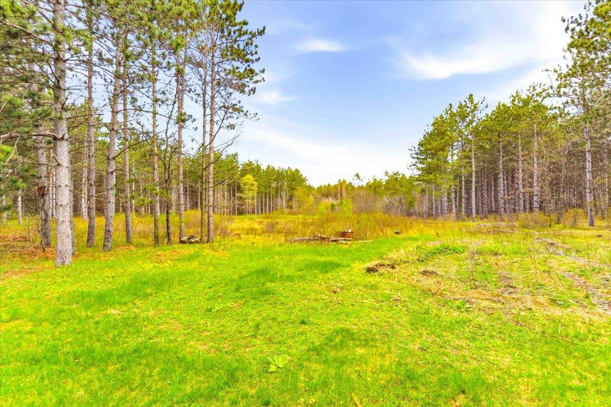 1490 County Rd F Friendship, WI 53934 - Photo 44 of 51