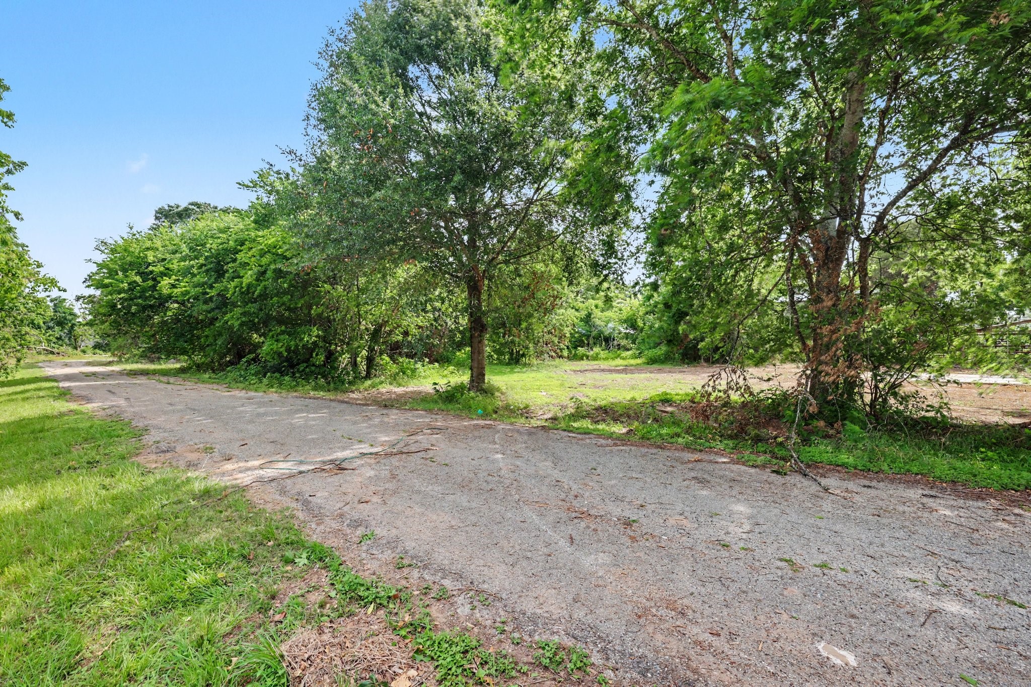 31730 Waller Tomball Road Waller, TX 77484 - Photo 49 of 50 A serene plot with a paved pathway, surrounded by lush greenery and mature trees, offering a peaceful, natural setting.