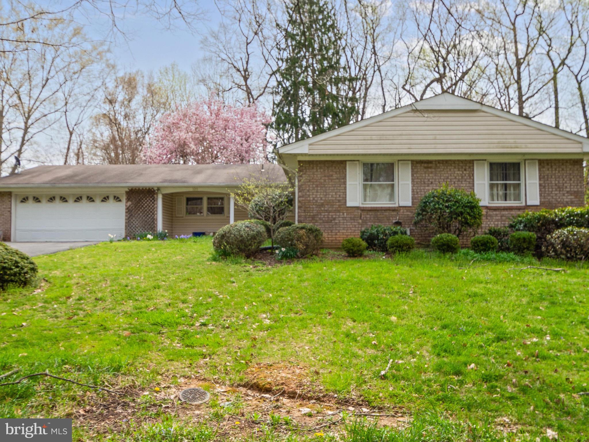 3213 Birchtree Lane Silver Spring, MD 20906 - Photo 3 of 54 Close to so many amenities!