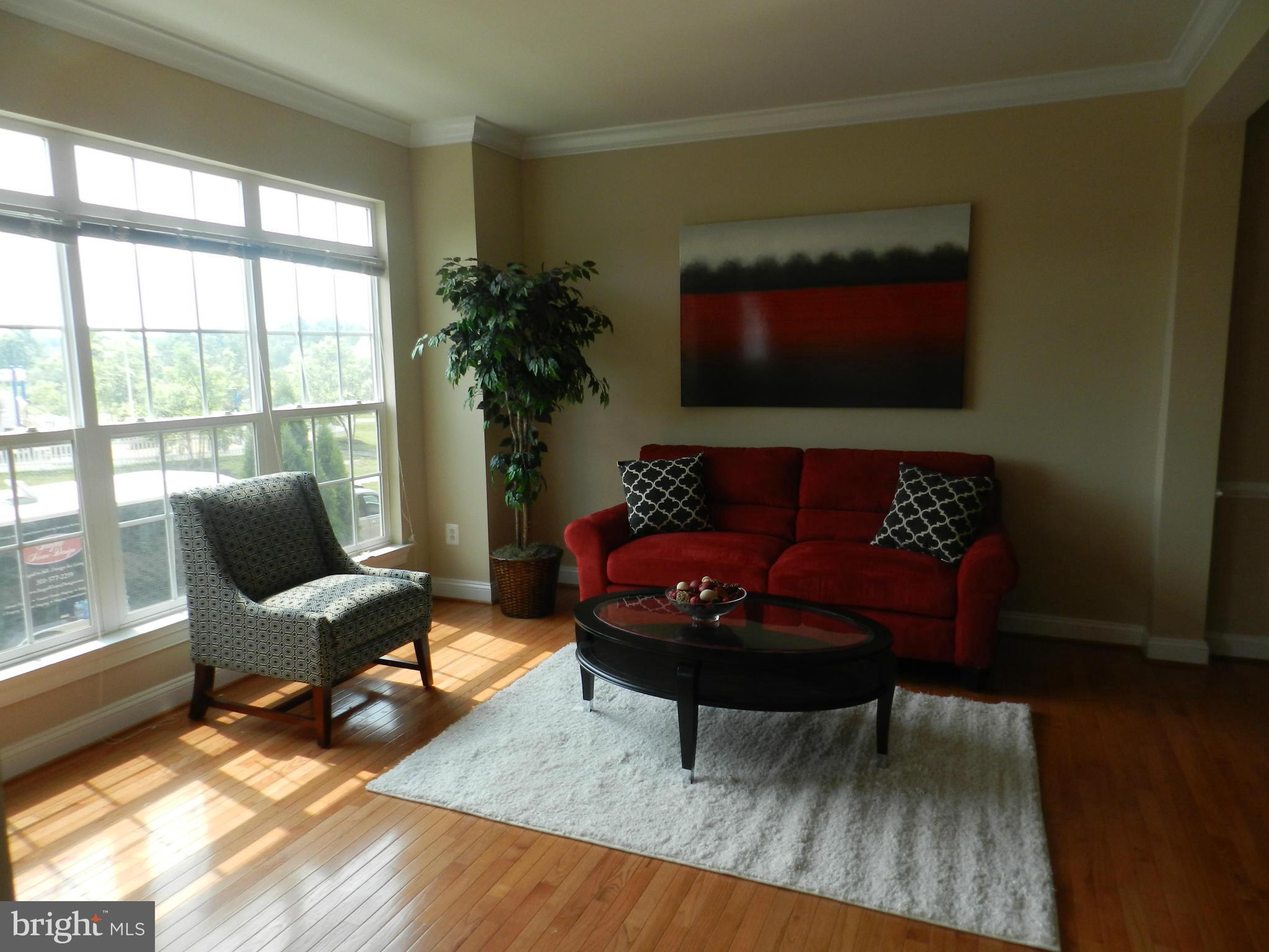 23043 Birch Mead Road Clarksburg, MD 20871 - Photo 3 of 14 Family Room