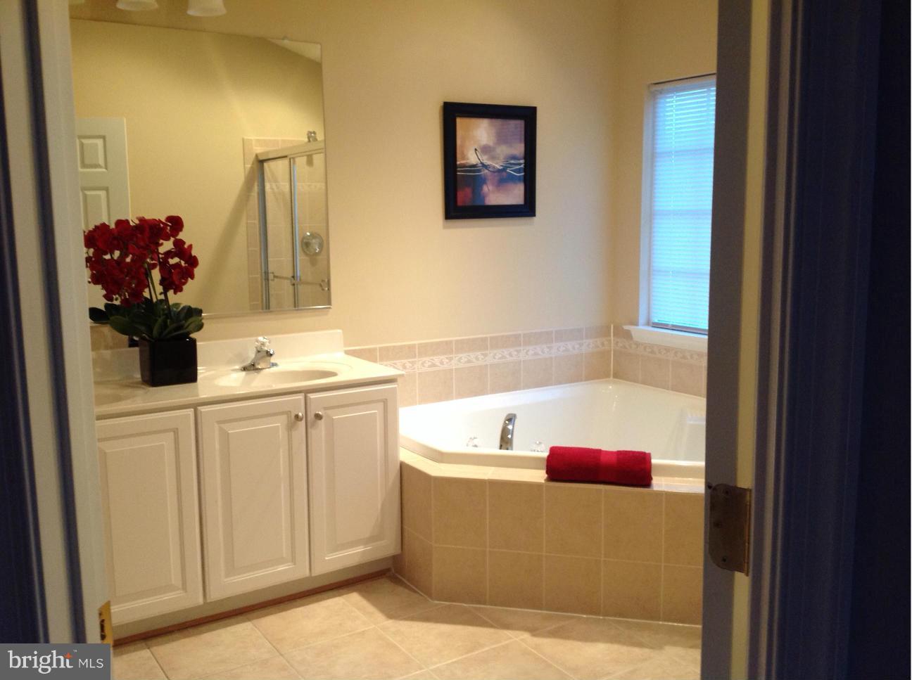 23043 Birch Mead Road Clarksburg, MD 20871 - Photo 8 of 14 Bath (Master)