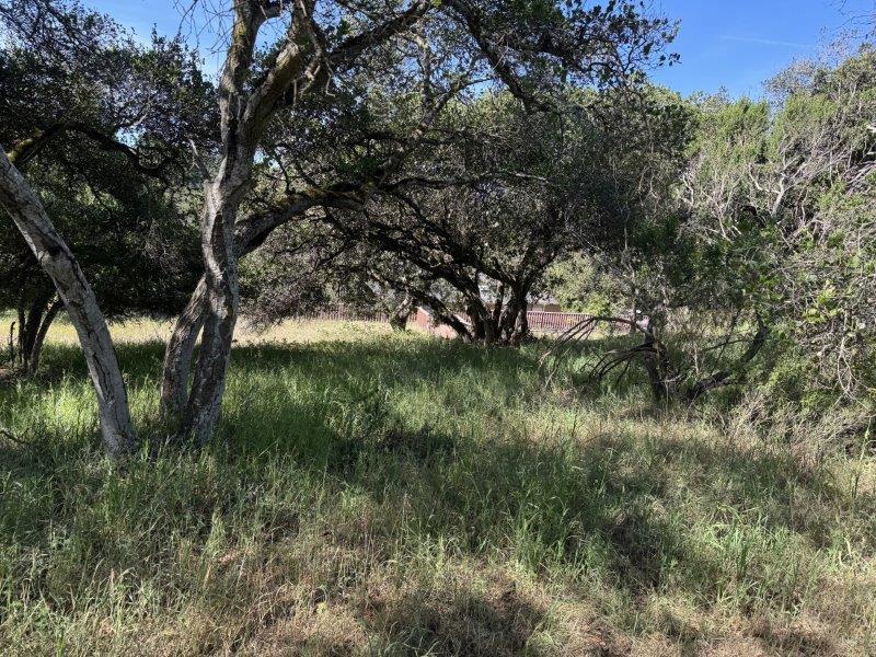 6443 Tustin Road Salinas, CA 93907 - Photo 29 of 34