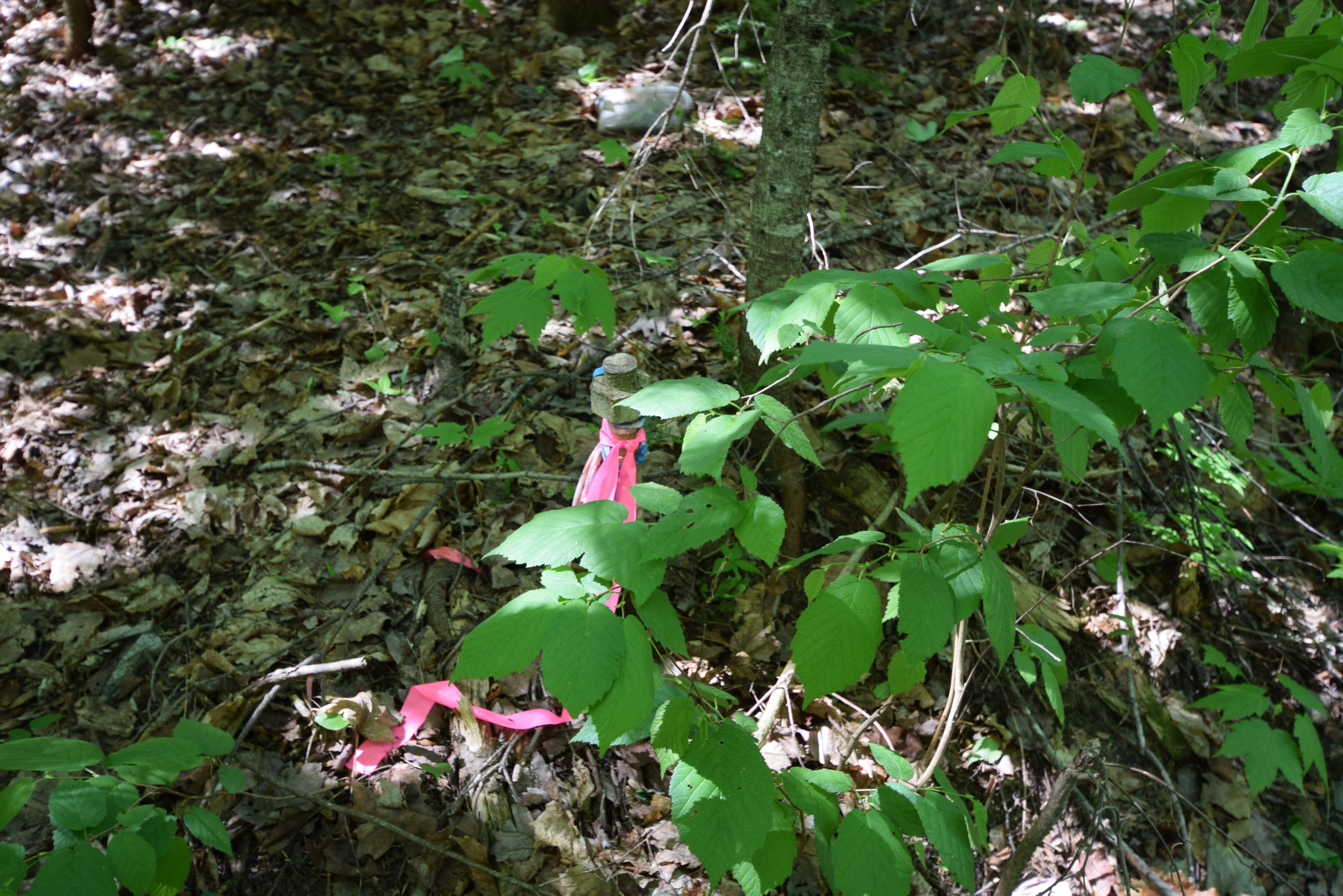 Lot 18 Tenney Hill Road Monson, ME 04464 - Photo 8 of 41 2020-06-01 22.24.40