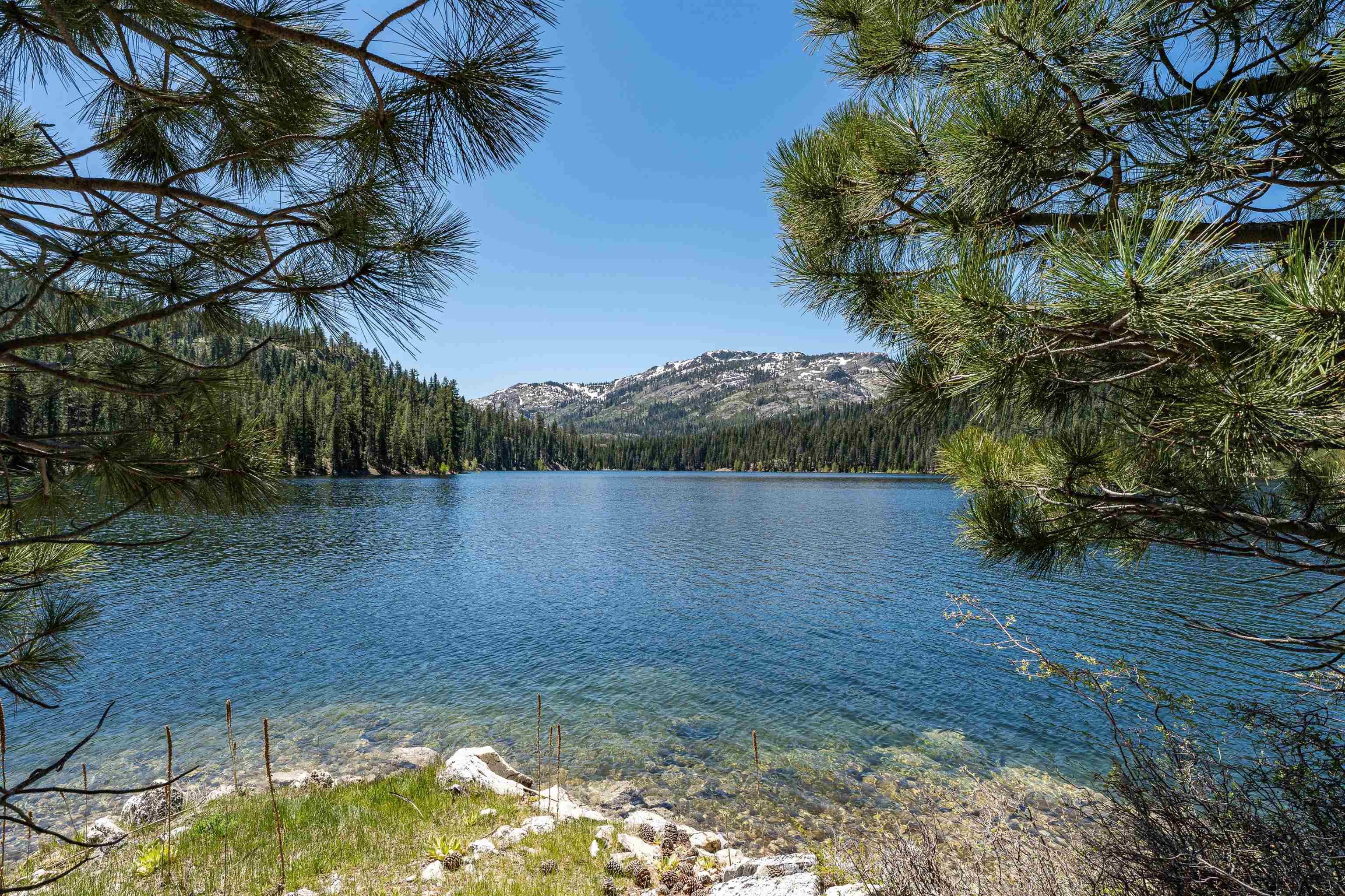 Henness Pass Road Sierra City, CA 96125 - Photo 8 of 28