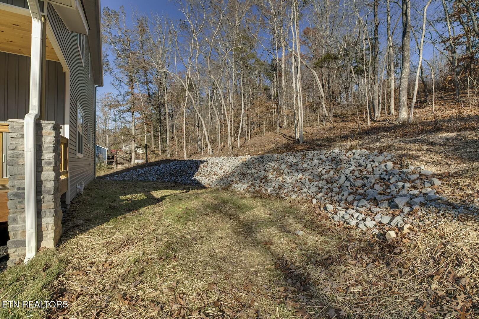 248 Sunrise Lane Decatur, TN 37322 - Photo 54 of 56 tempImagegqu8hS