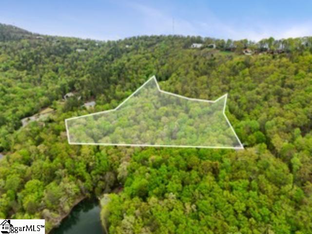 19287 Patrol Club Road Greenville, SC 29609 - Photo 11 of 11