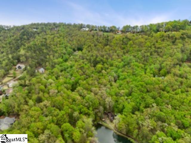 19287 Patrol Club Road Greenville, SC 29609 - Photo 2 of 11