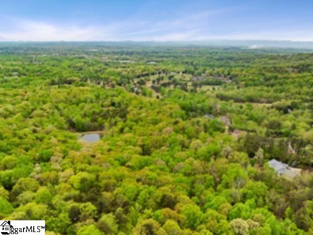 19287 Patrol Club Road Greenville, SC 29609 - Photo 3 of 11