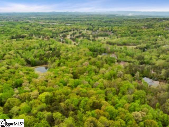 19287 Patrol Club Road Greenville, SC 29609 - Photo 4 of 11