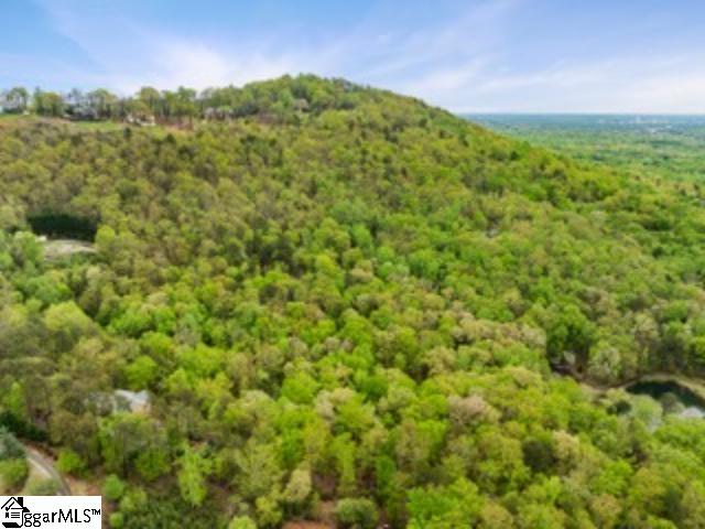 19287 Patrol Club Road Greenville, SC 29609 - Photo 5 of 11