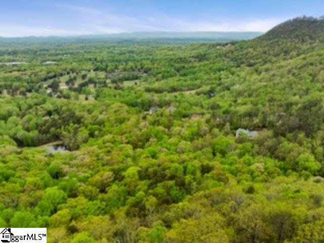 19287 Patrol Club Road Greenville, SC 29609 - Photo 6 of 11