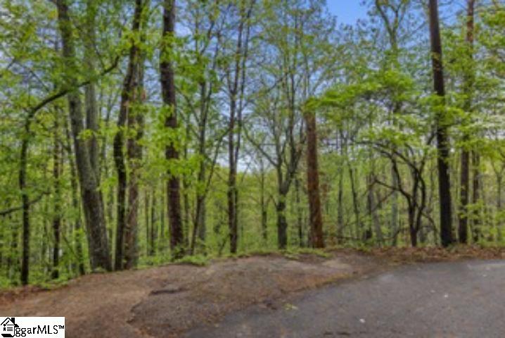 19287 Patrol Club Road Greenville, SC 29609 - Photo 7 of 11