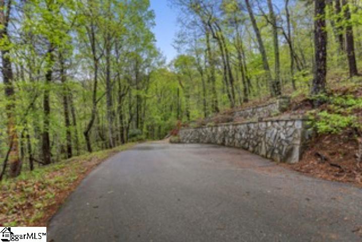 19287 Patrol Club Road Greenville, SC 29609 - Photo 9 of 11