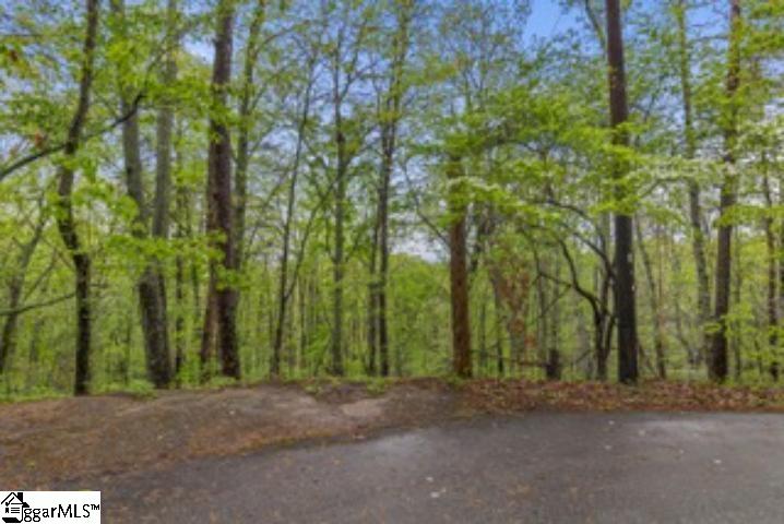 19287 Patrol Club Road Greenville, SC 29609 - Photo 10 of 11