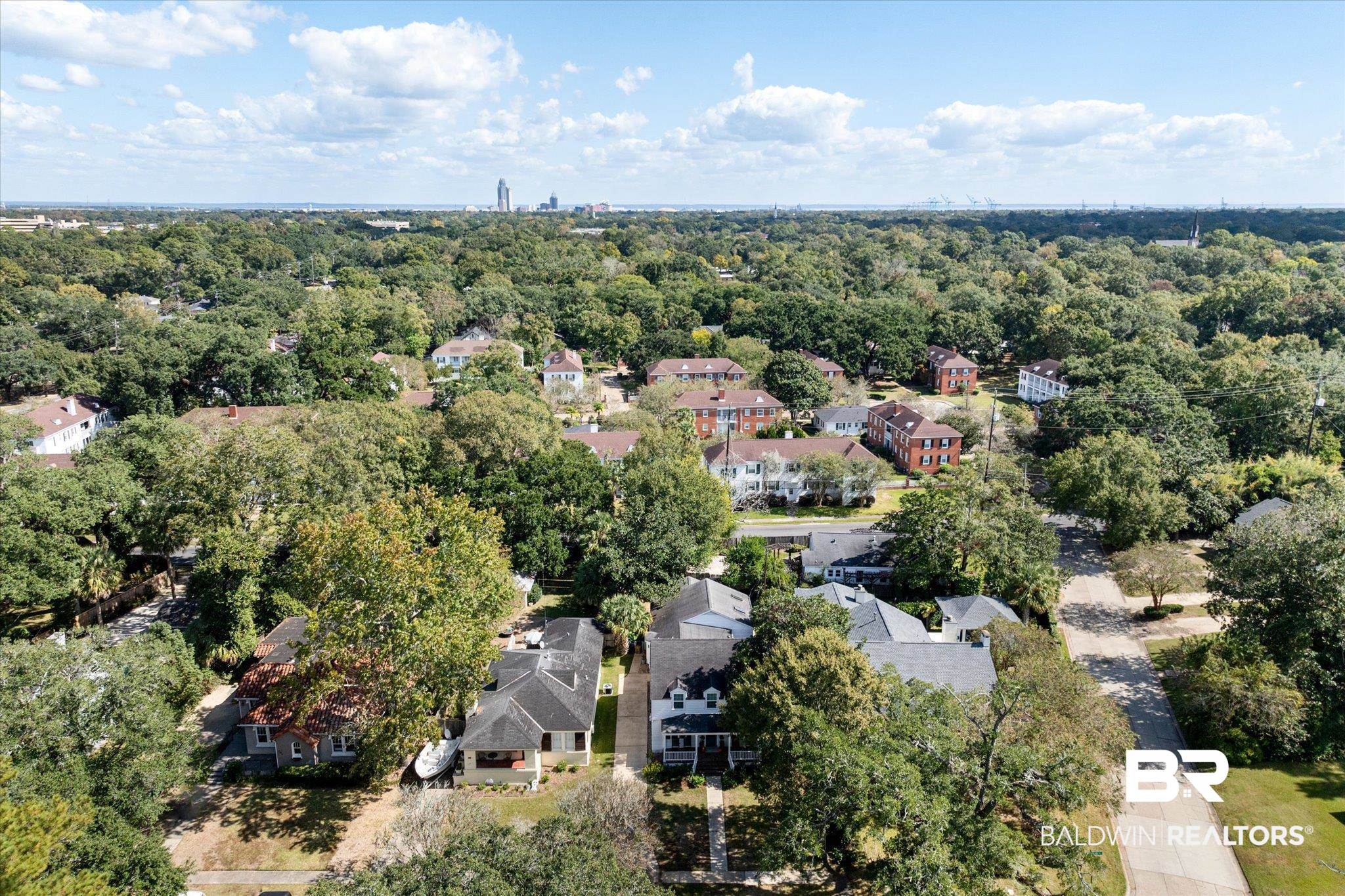 202 Woodlands Avenue Mobile, AL 36607 - Photo 46 of 53 Aerial view