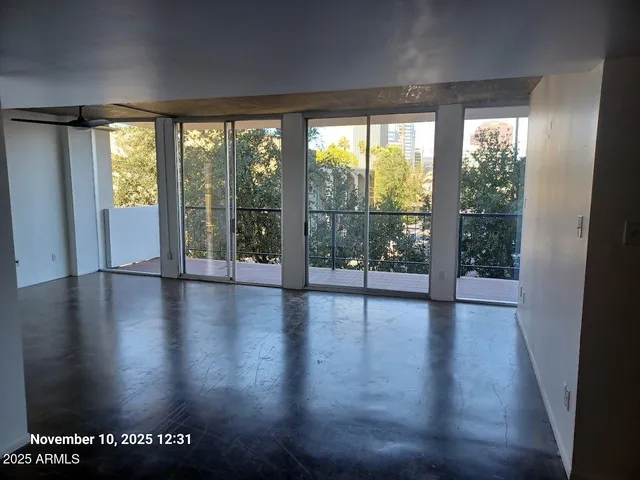 a view of a garden from window