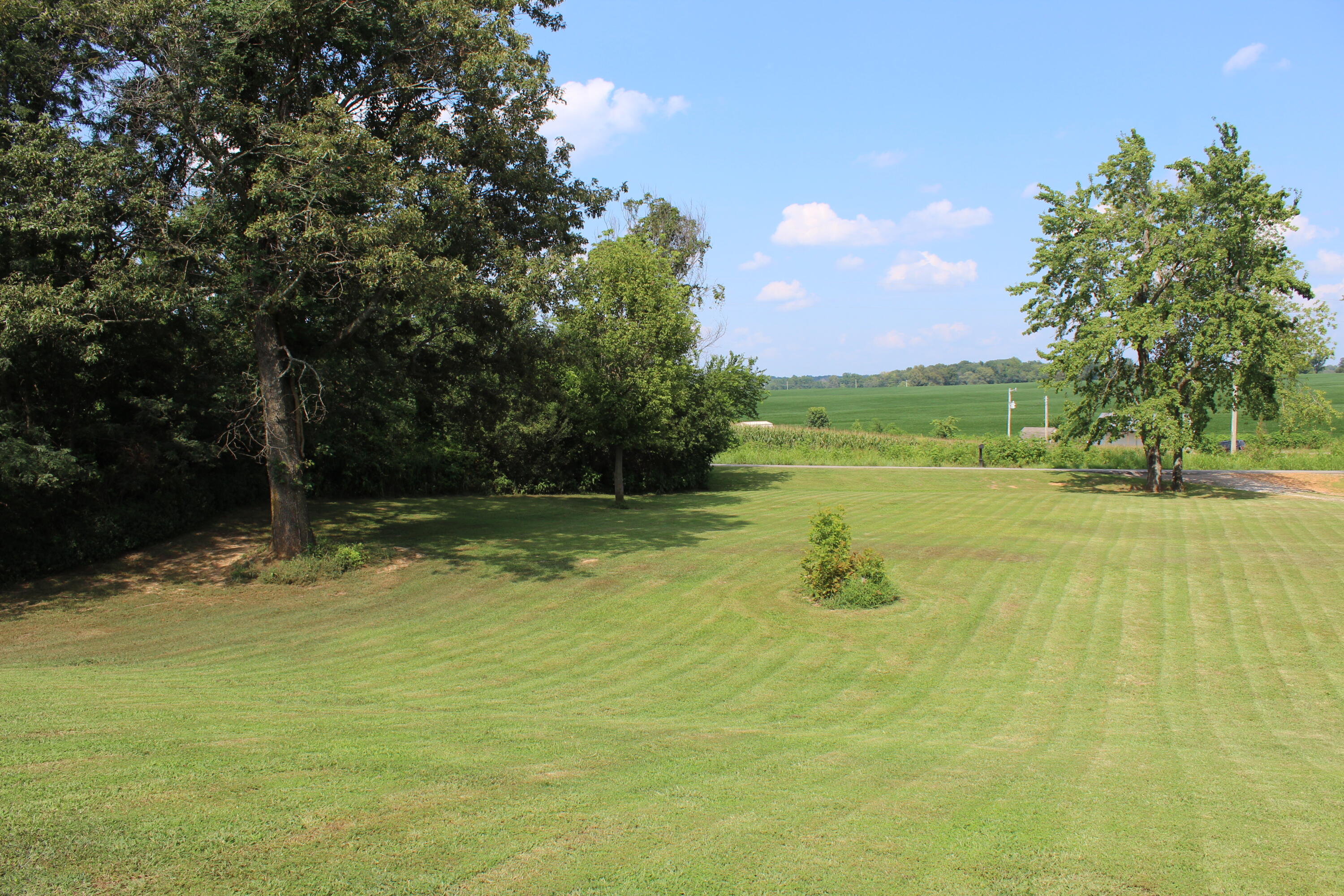 2413 Lowes Road Cunningham, KY 42035 - Photo 38 of 43 IMG_9352
