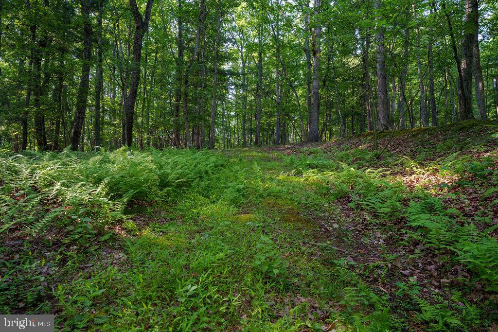 Pack Horse Road Winchester, VA 22603 - Photo 7 of 15