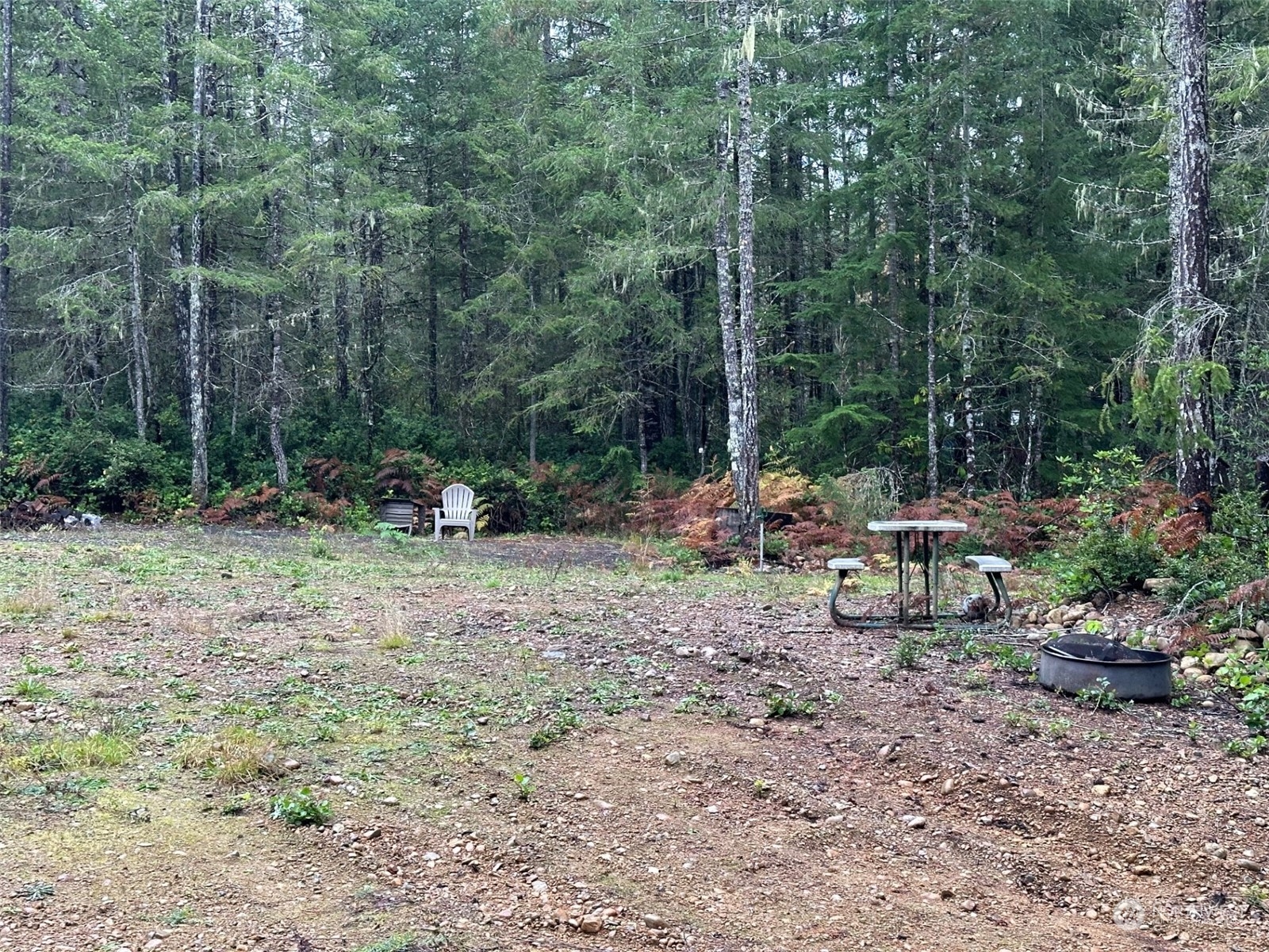151 Northeast Bedrock Road Belfair, WA 98528 - Photo 11 of 27 a view of a park with large trees