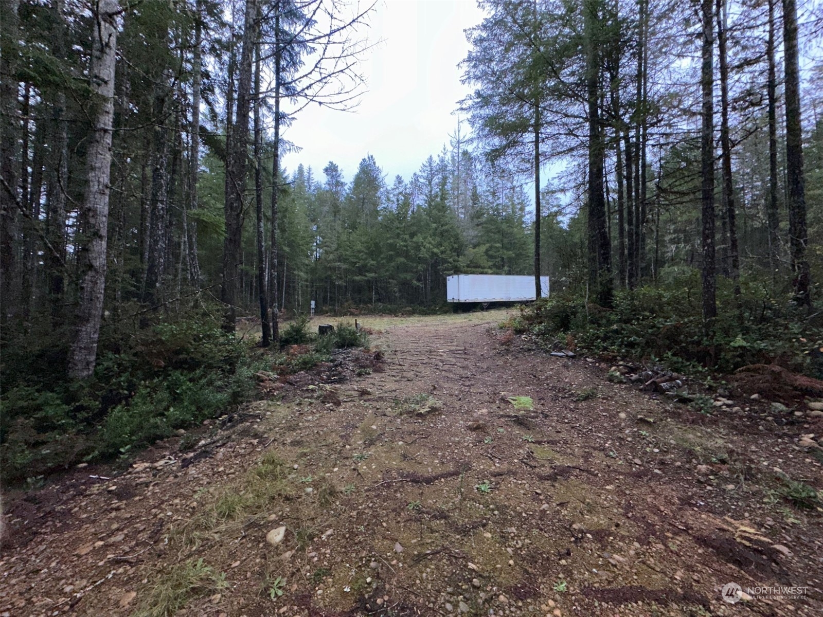 151 Northeast Bedrock Road Belfair, WA 98528 - Photo 14 of 27 a view of a forest with trees in the background