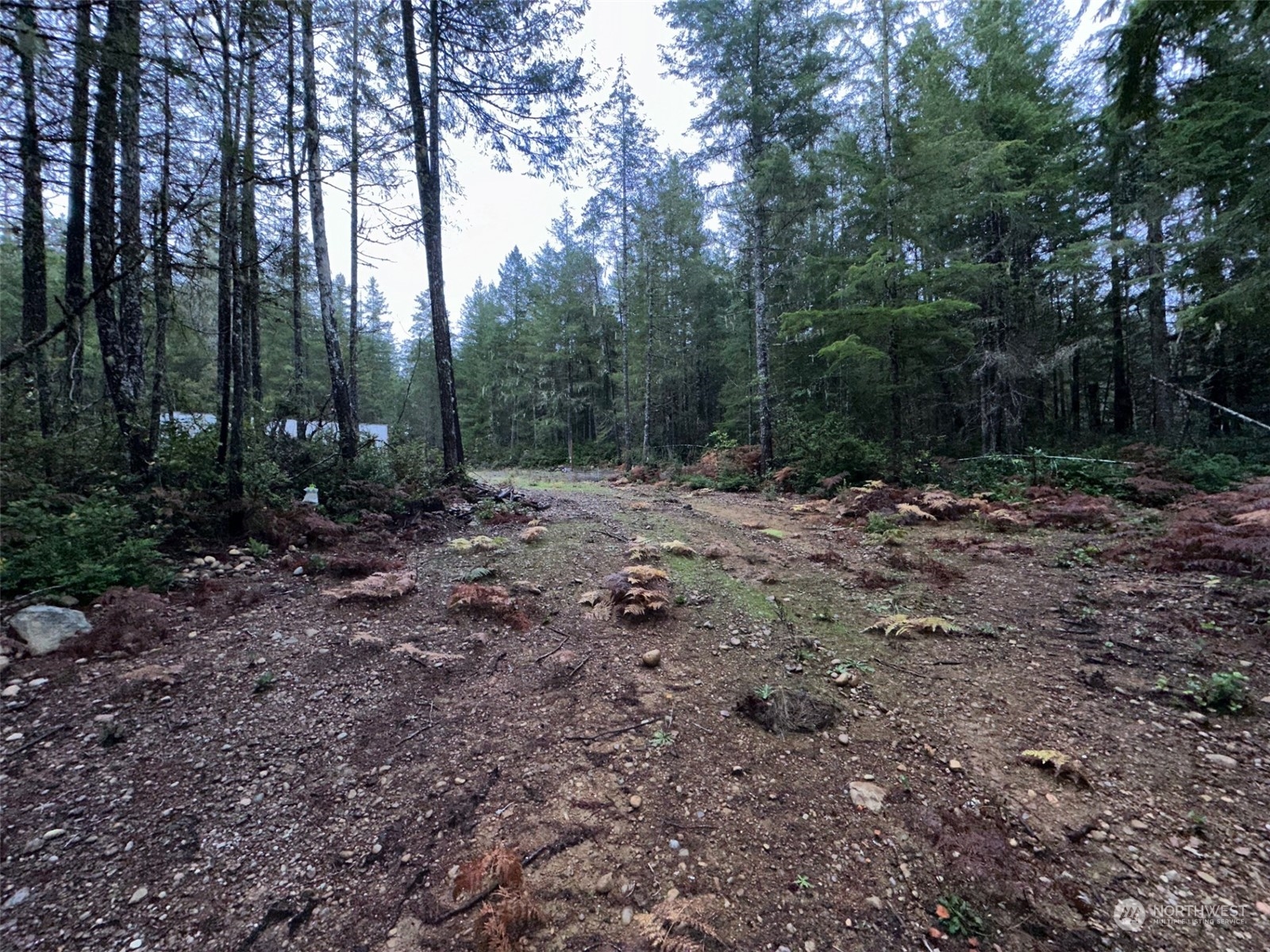 151 Northeast Bedrock Road Belfair, WA 98528 - Photo 15 of 27 a view of a yard