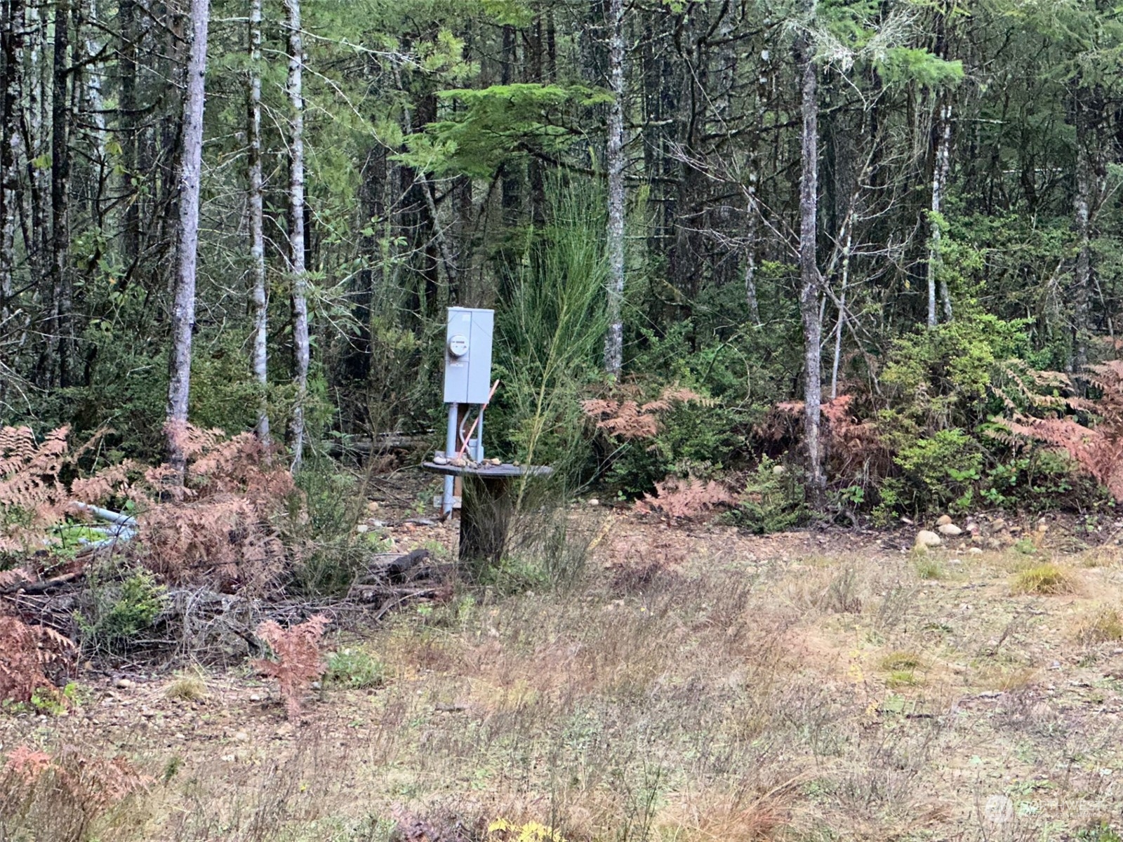 151 Northeast Bedrock Road Belfair, WA 98528 - Photo 16 of 27 a view of a backyard