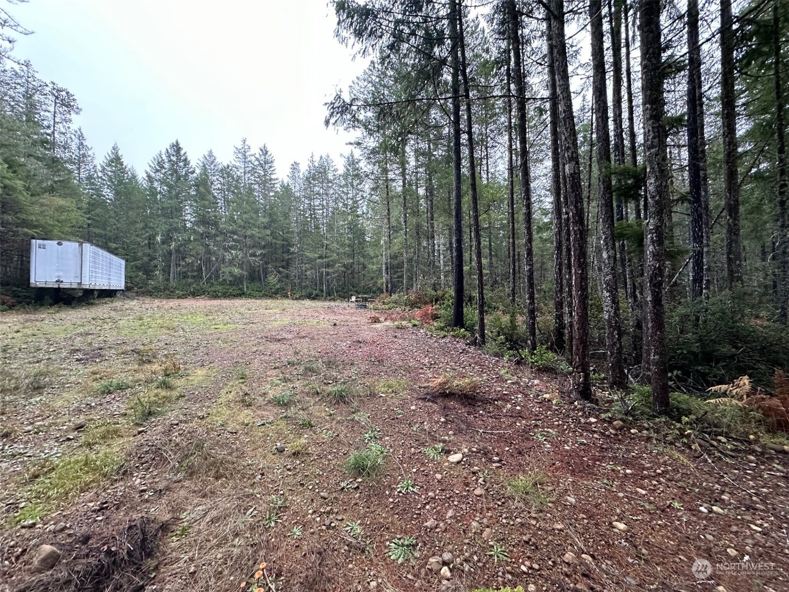151 Northeast Bedrock Road Belfair, WA 98528 - Photo 17 of 27 a view of backyard with green space
