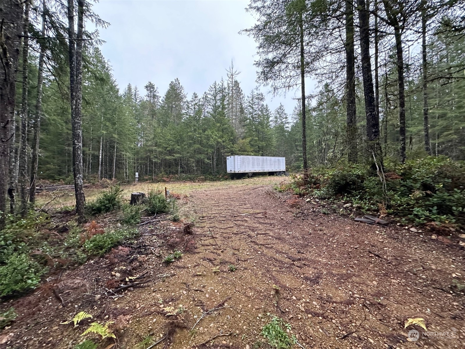 151 Northeast Bedrock Road Belfair, WA 98528 - Photo 18 of 27 a view of a field with trees in the background