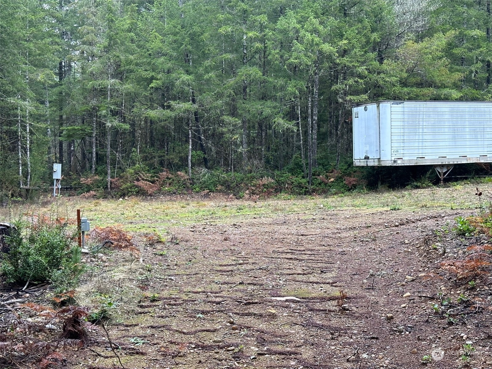 151 Northeast Bedrock Road Belfair, WA 98528 - Photo 19 of 27 a backyard of a house with lots of green space