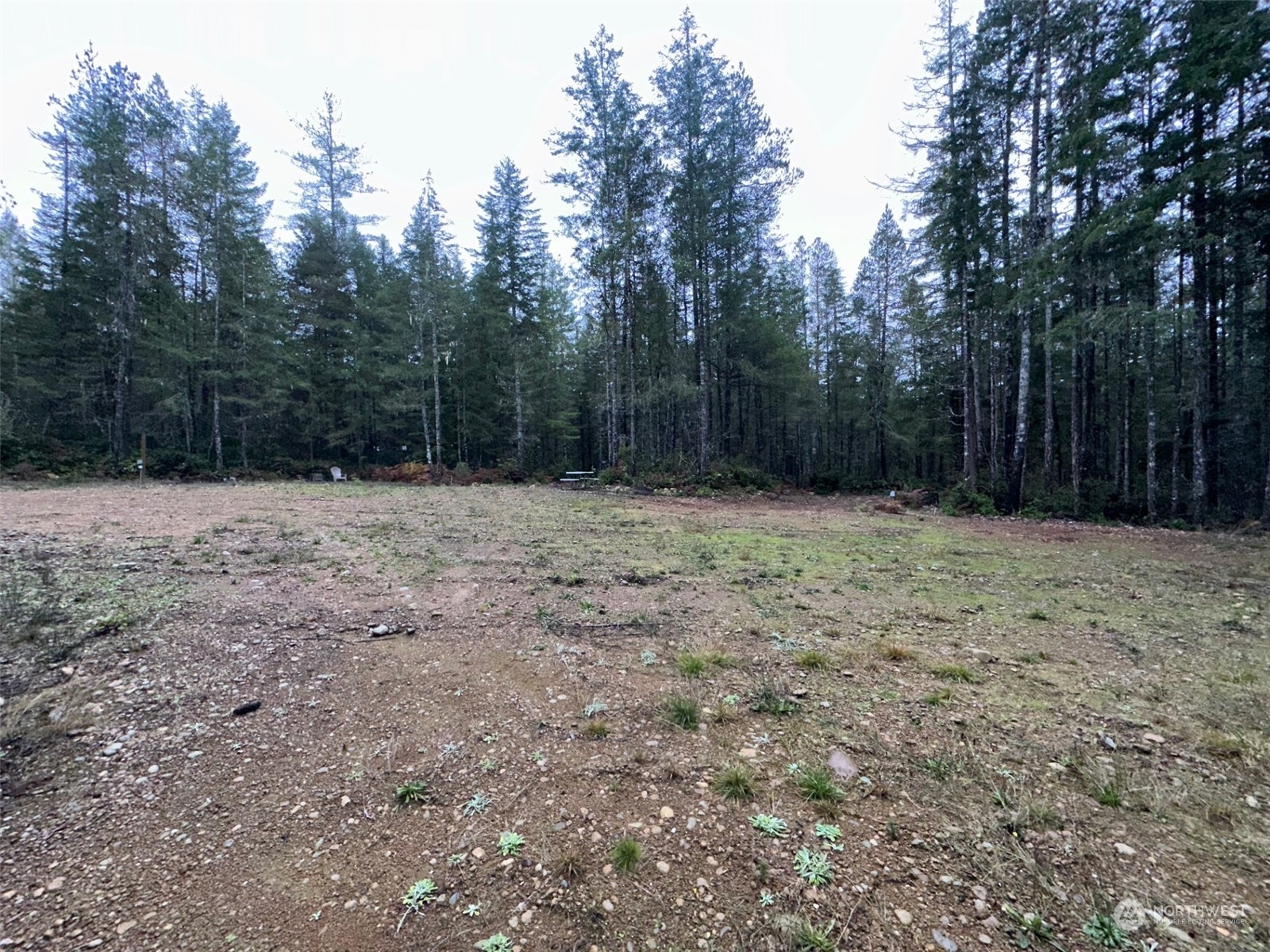 151 Northeast Bedrock Road Belfair, WA 98528 - Photo 2 of 27 a view of wall with trees