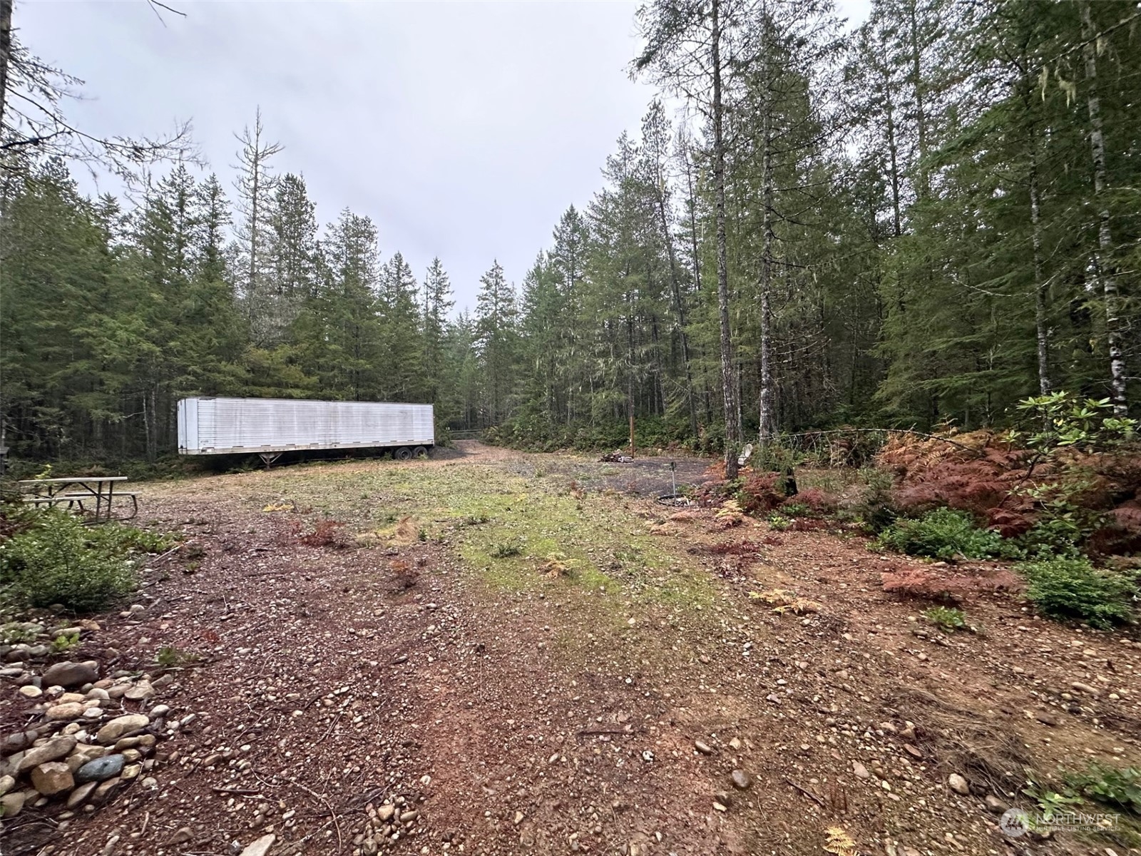 151 Northeast Bedrock Road Belfair, WA 98528 - Photo 21 of 27 a view of a forest with trees in the background