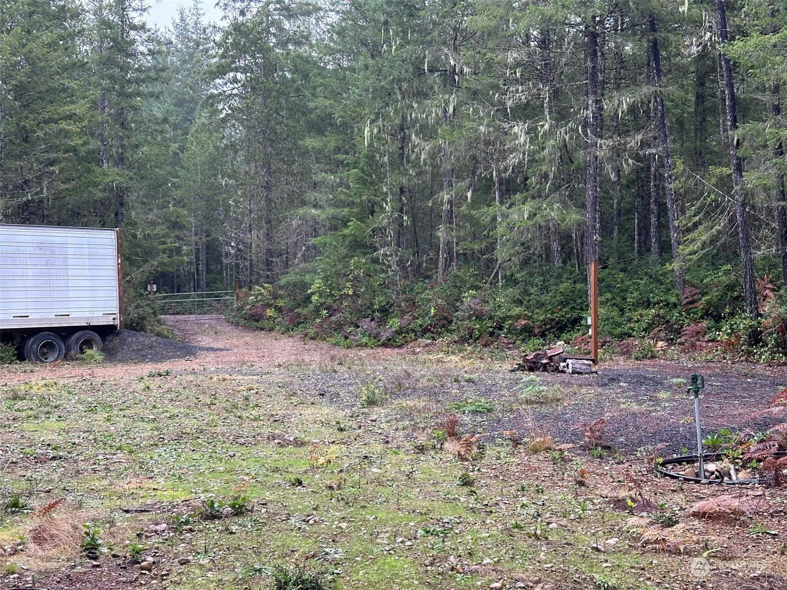 151 Northeast Bedrock Road Belfair, WA 98528 - Photo 22 of 27 a backyard of a house with lots of green space