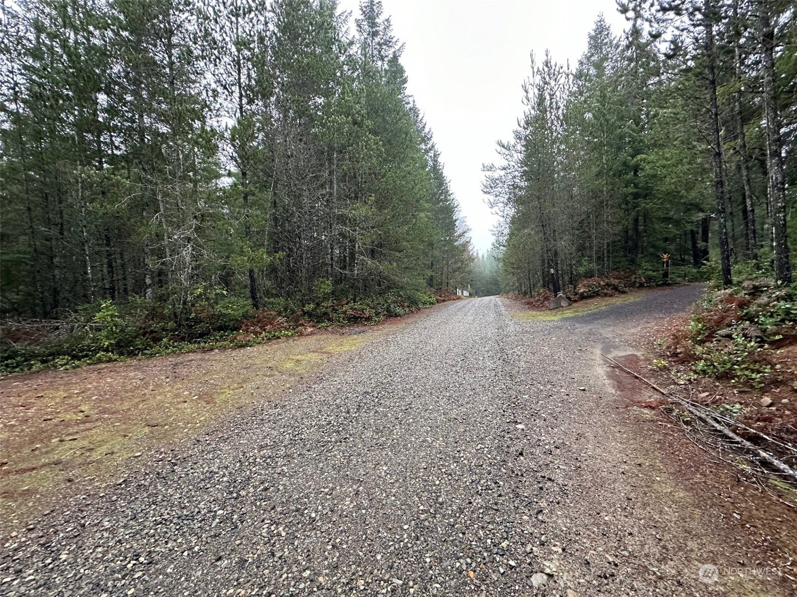 151 Northeast Bedrock Road Belfair, WA 98528 - Photo 26 of 27 a view of a dirt road with trees in the background