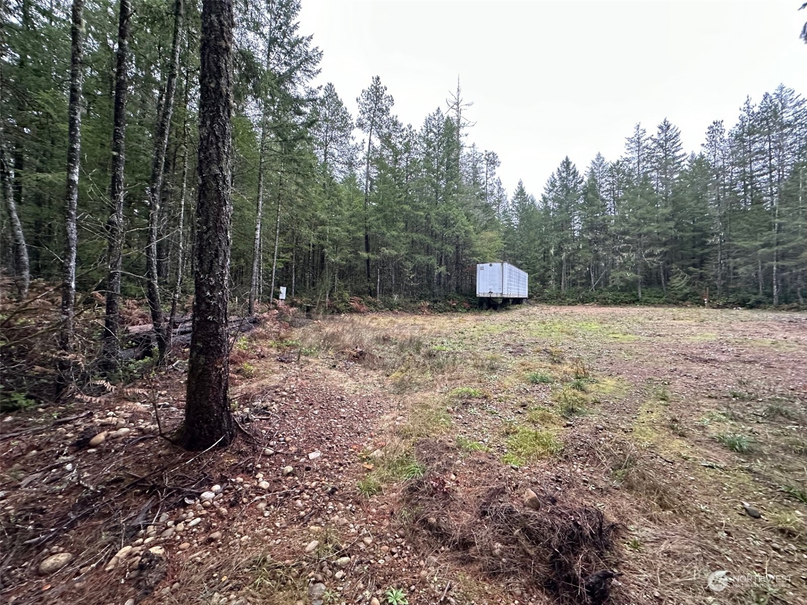 151 Northeast Bedrock Road Belfair, WA 98528 - Photo 3 of 27 a view of a field with trees in the background