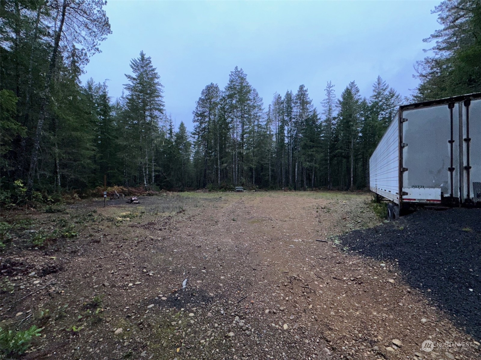 151 Northeast Bedrock Road Belfair, WA 98528 - Photo 7 of 27 a view of a backyard with large trees