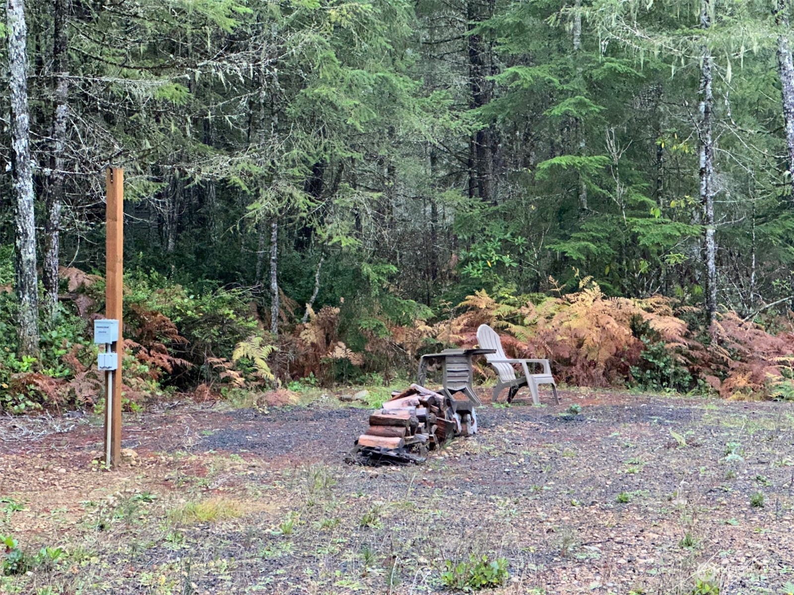 151 Northeast Bedrock Road Belfair, WA 98528 - Photo 8 of 27 a view of a park with large trees
