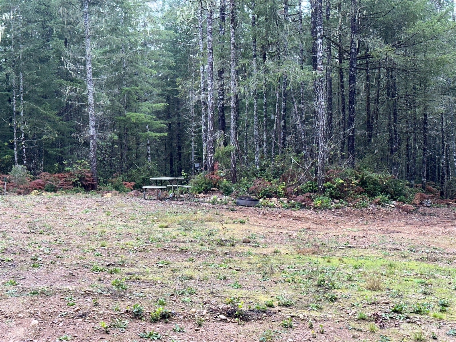 151 Northeast Bedrock Road Belfair, WA 98528 - Photo 10 of 27 a view of a backyard with trees