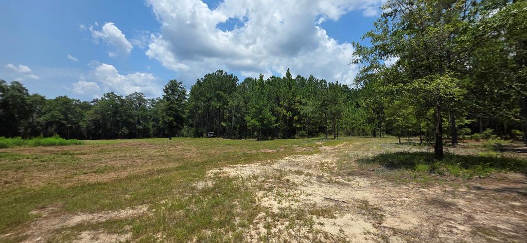 3.14-acres Corbin Road Newton, AL 36352 - Photo 9 of 31 Gallery Image 9