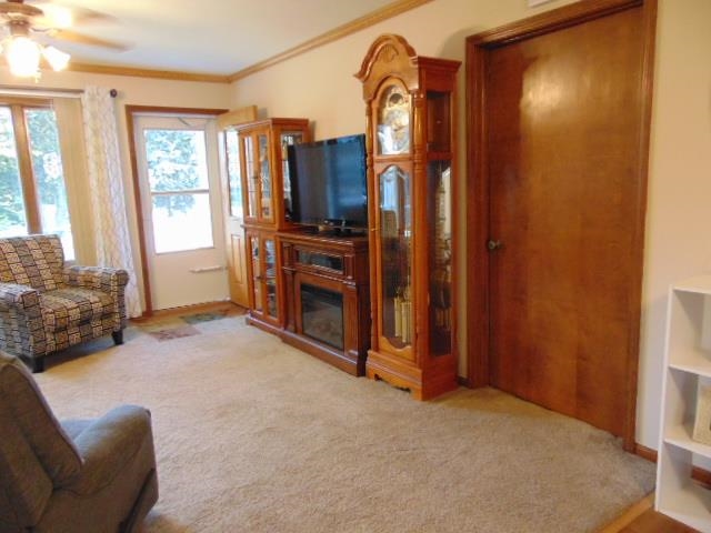 10441 West Monroe Road Elwell, MI 48832 - Photo 9 of 39