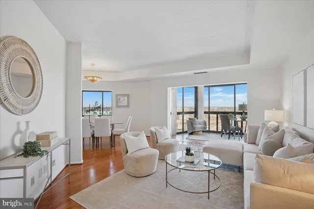 a living room with furniture a rug and a potted plant