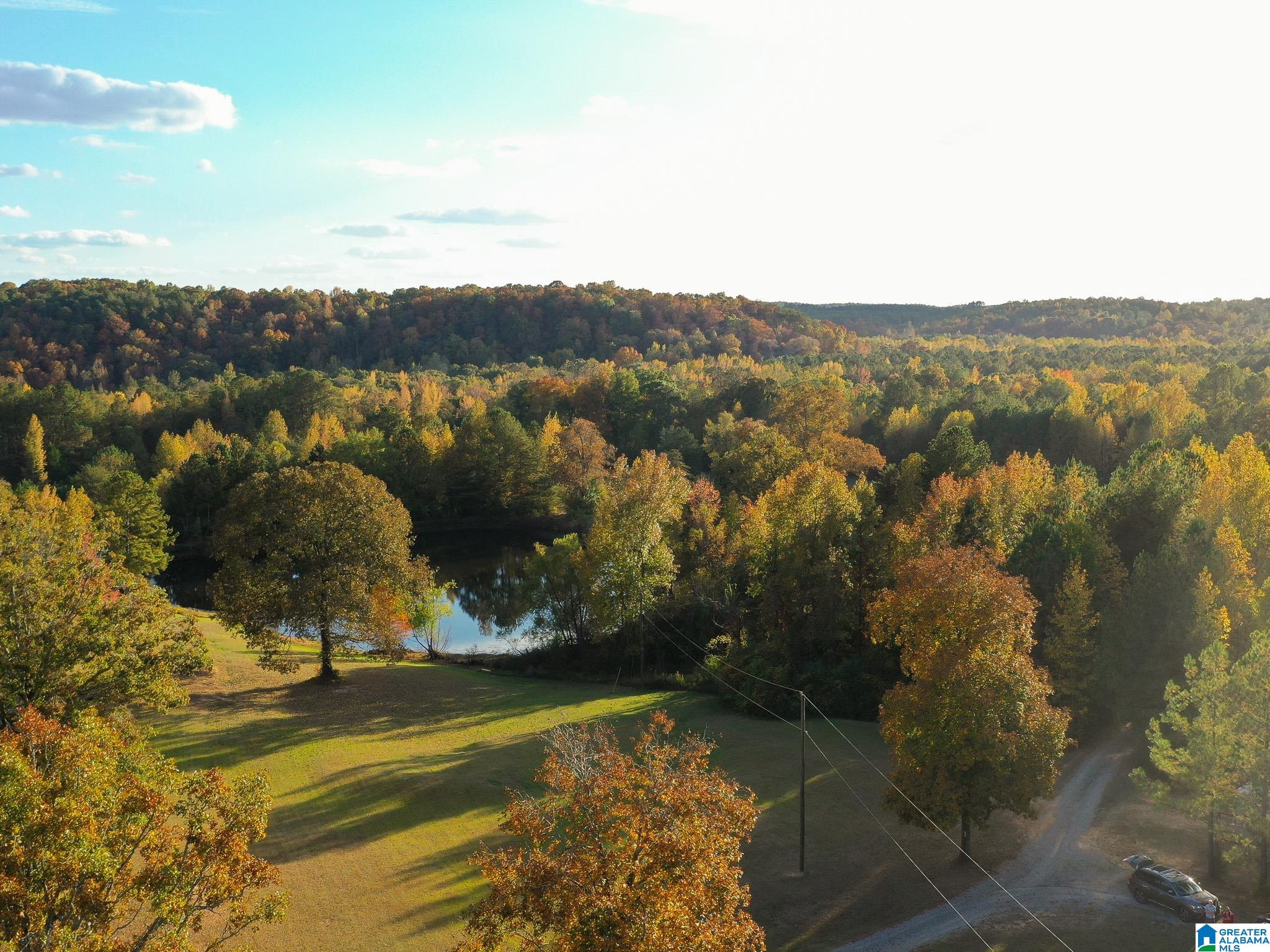 10715 Big Hurricane Road Brookwood, AL 35444 - Photo 28 of 47