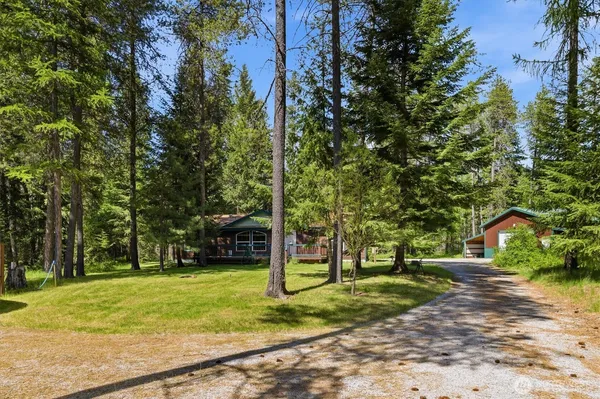 a view of a yard with plants and trees