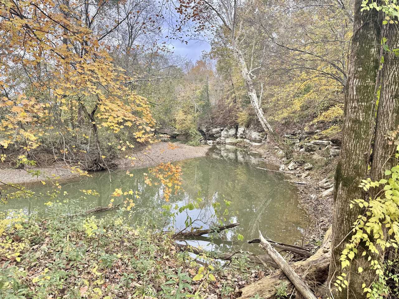 401 Duncan Road Alvaton, KY 42122 - Photo 5 of 18 Gallery Image 5