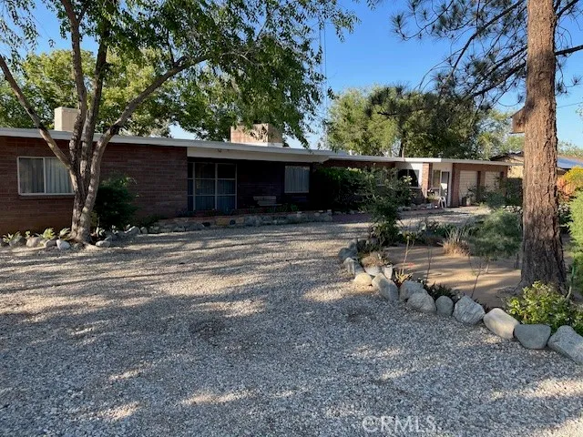 a view of a backyard with large trees and wooden fence