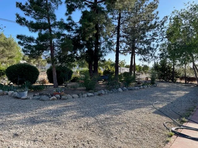 a view of a backyard with large trees
