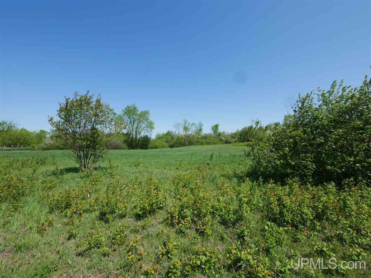 Tbd Sawmill Road Lake Linden, MI 49945 - Photo 9 of 11 Gallery Image 9