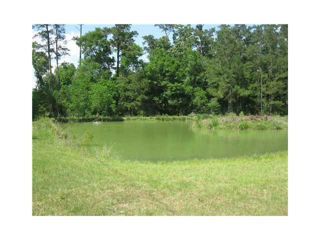72337 Fitzsimons Road Covington, LA 70433 - Photo 13 of 15 Gallery Image 13
