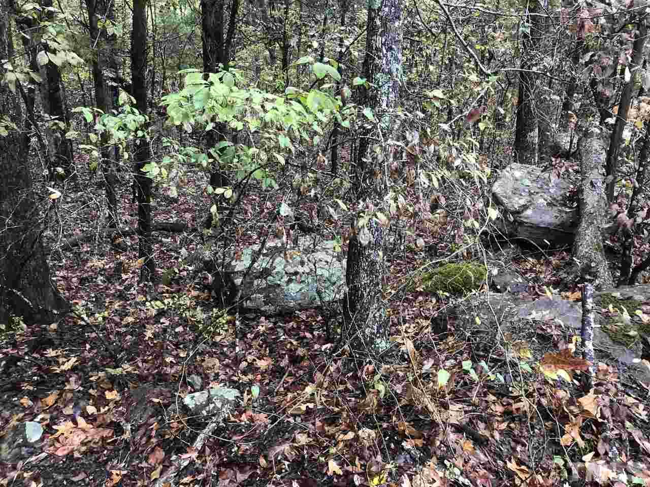 7655 Old Graham Road Pittsboro, NC 27312 - Photo 2 of 6 Gallery Image 2
